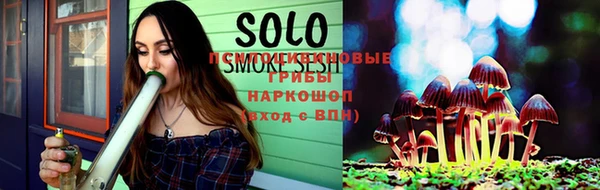 прущая мука Бородино