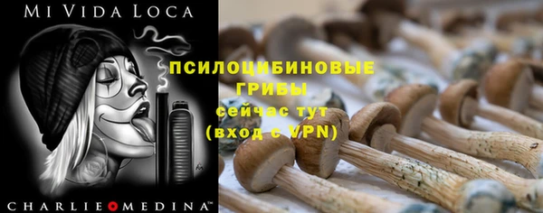 прущая мука Бородино