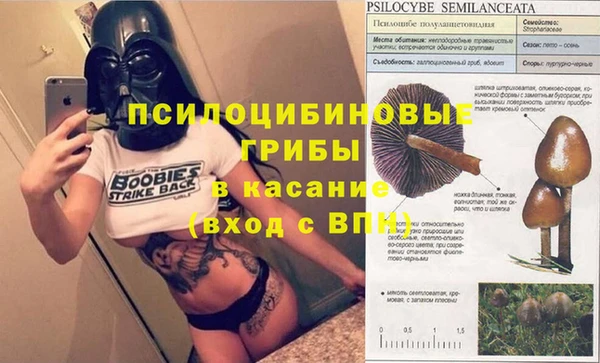 мяу мяу мука Бронницы