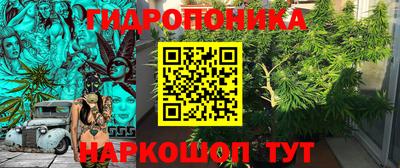 трава Донецк