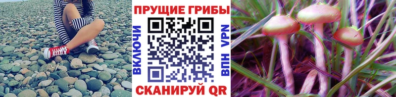 MEGA вход Зеленокумск Галлюциногенные грибы Magic Shrooms