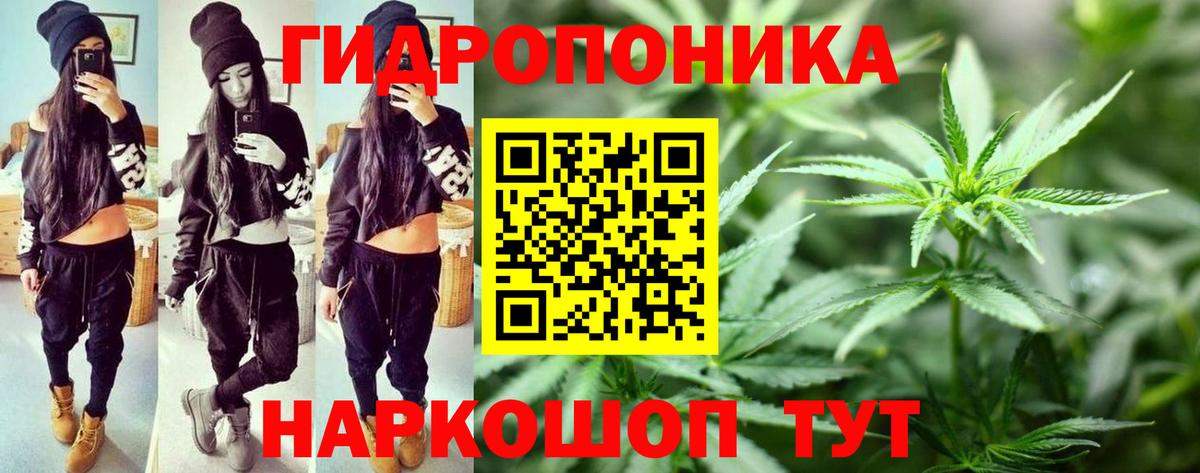 Бошки марихуана Bruce Banner Зеленокумск